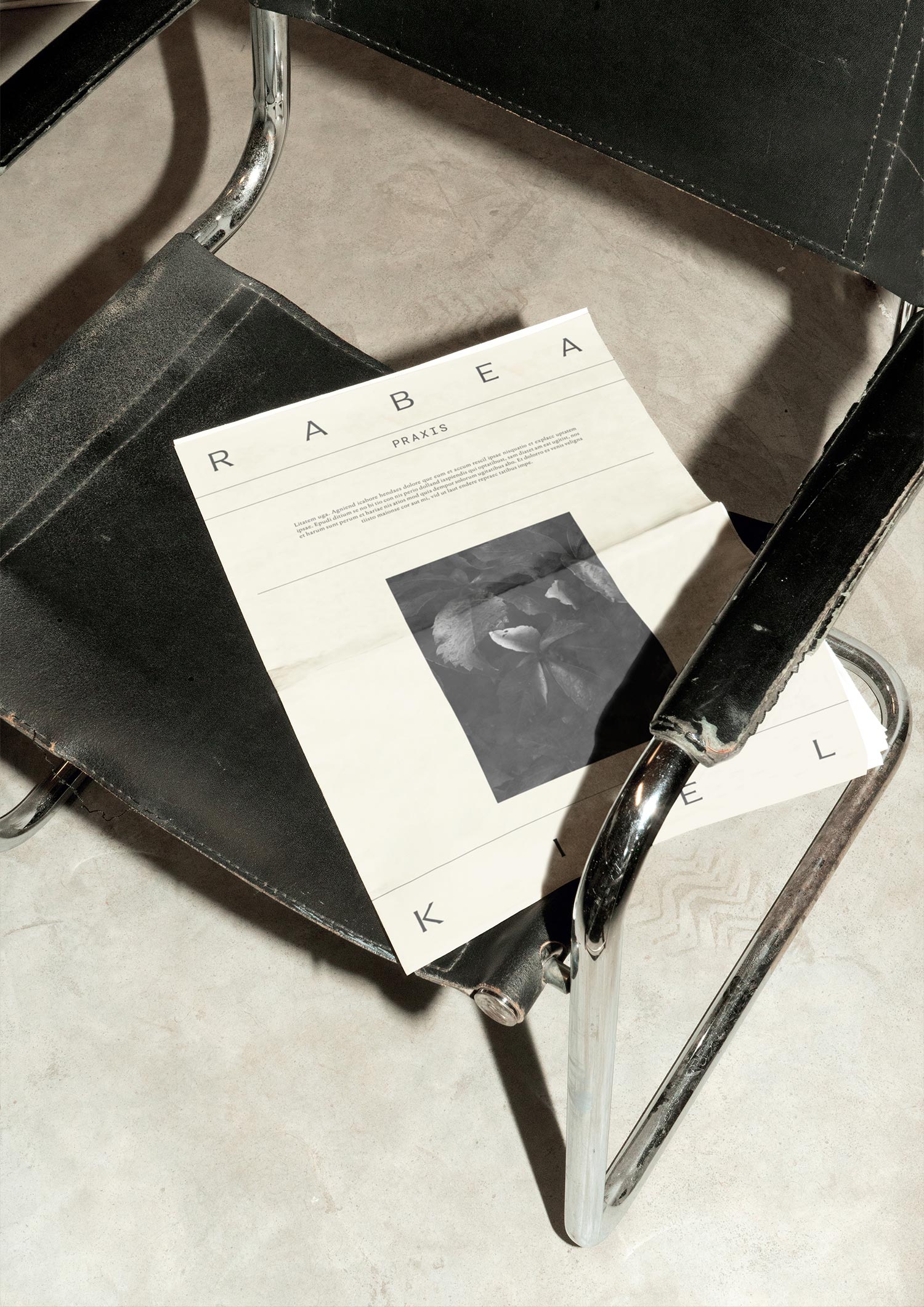 Rabea Kiel, Practice for Holistic Coaching and Trauma Therapy – Brand Design, Printed Newspaper