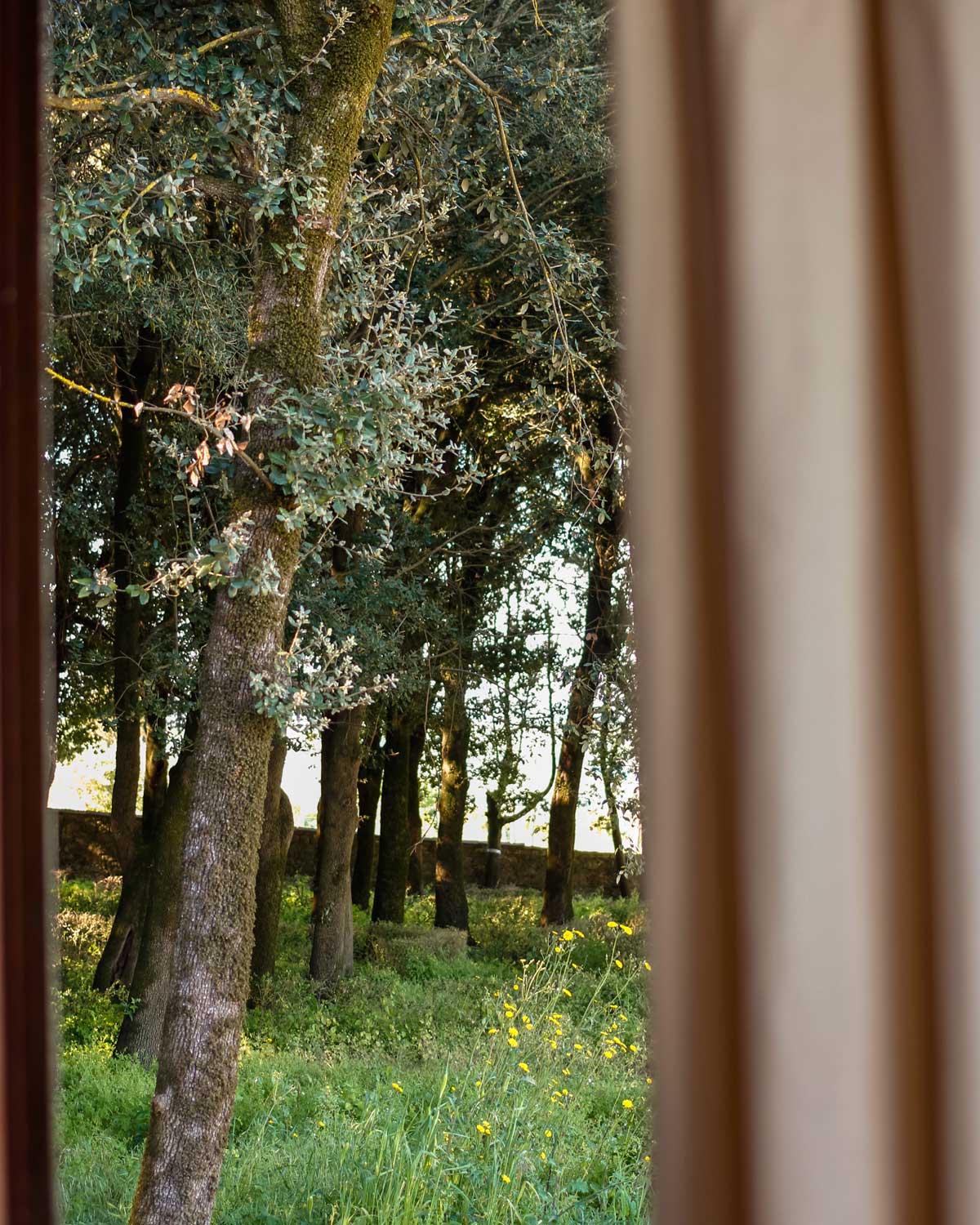 The-Muse-Designers-Well-Being-Retreat_Borgo-Belsedere-05_Nature