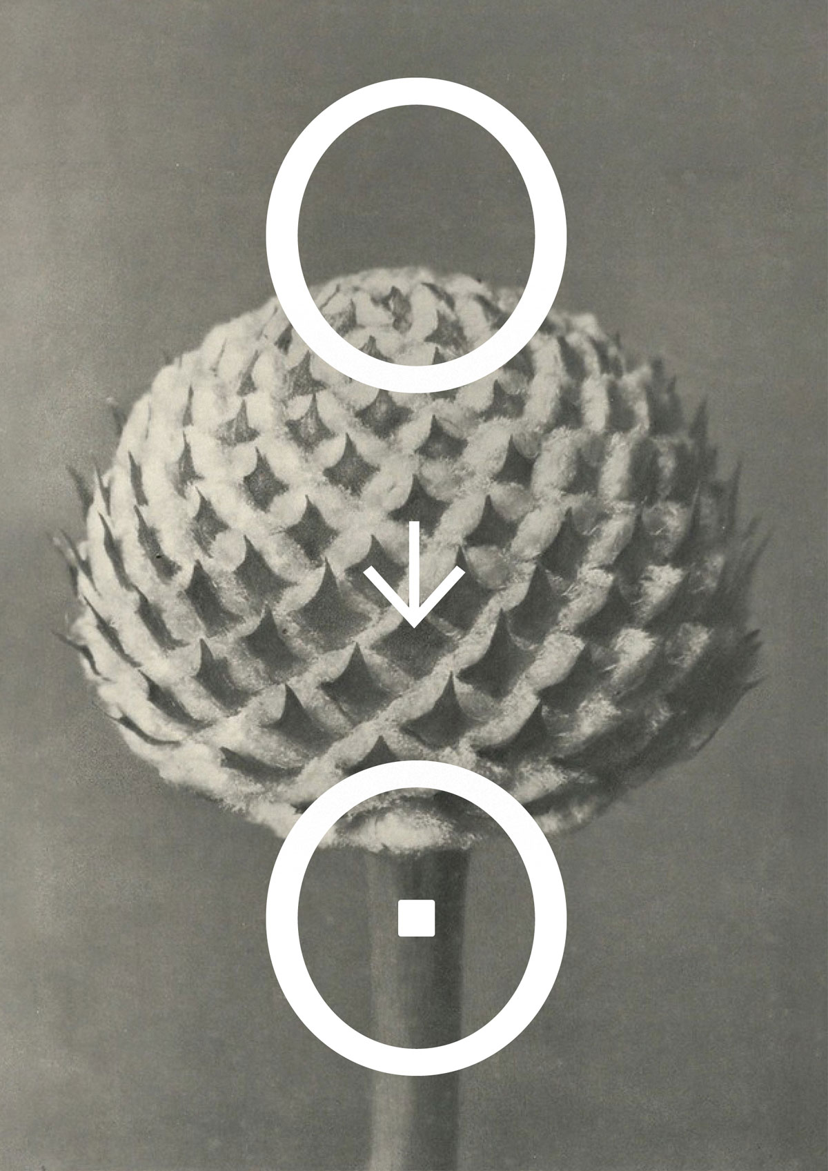 Barur-Typeface_Unique-Display-Font_MNDT-Type_Alternates_3