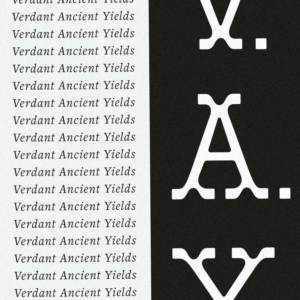 Mindt-Studio_Type-Foundry_Brand-Design_Quality-Display-Fonts_Sl_6
