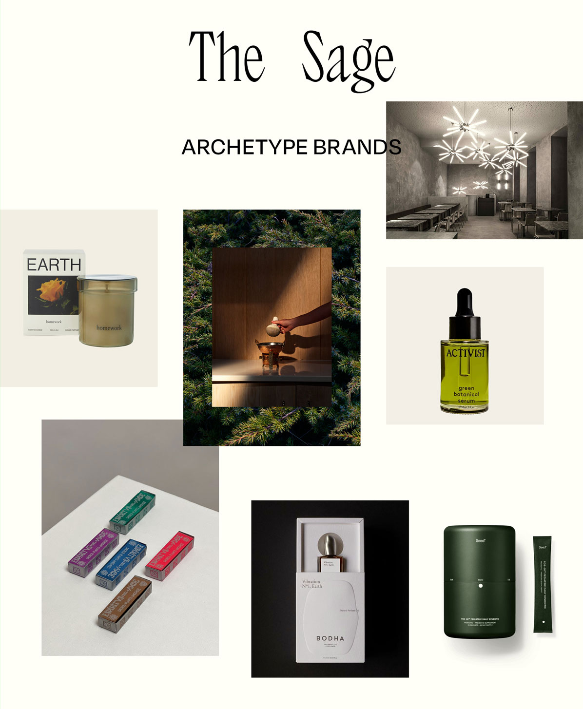 The Sage Brands who Embody the Archetype
