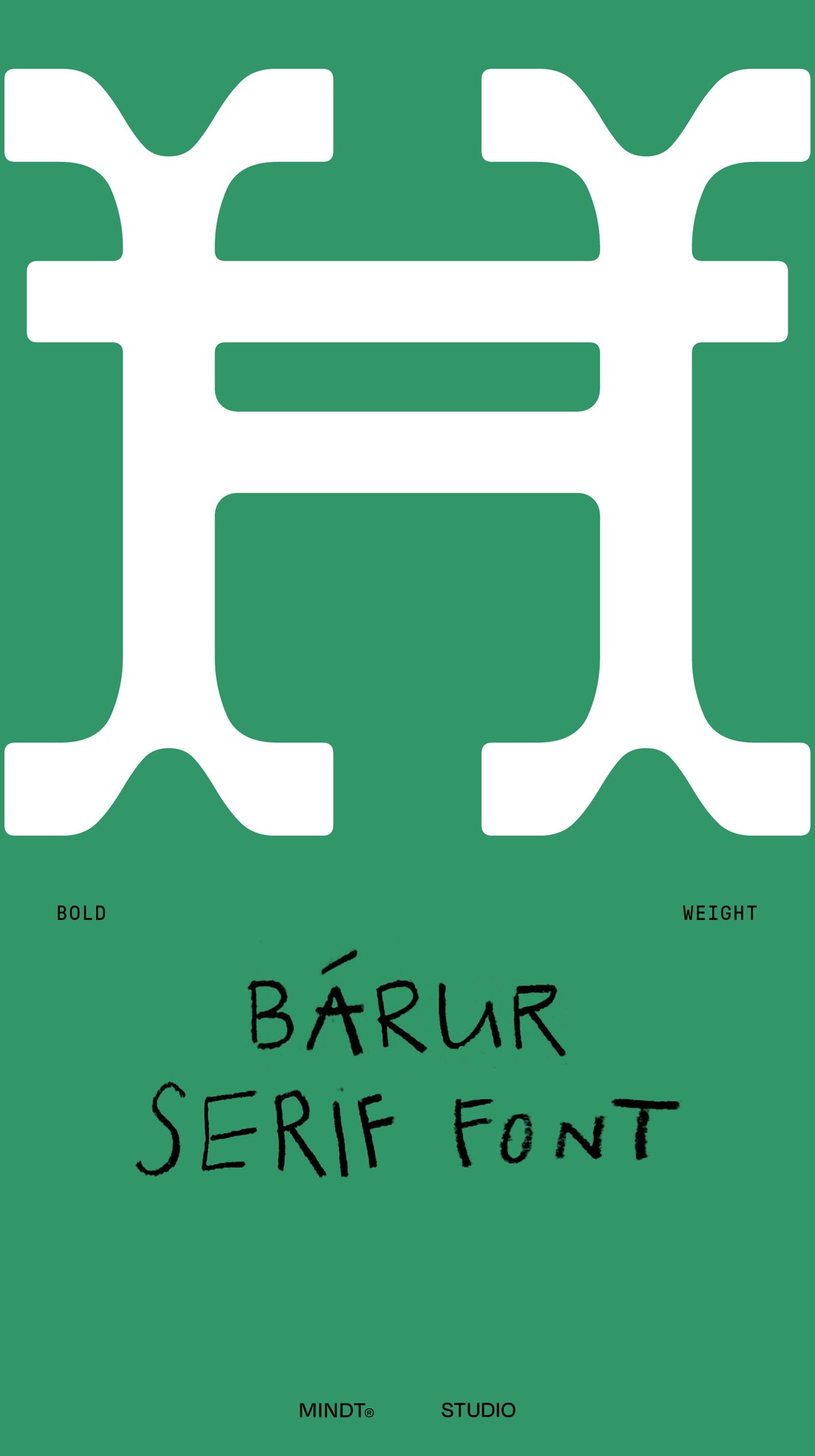 The uppercase Ħ from Bárur Bold, showcasing an extended Latin glyph for multilingual typography.
