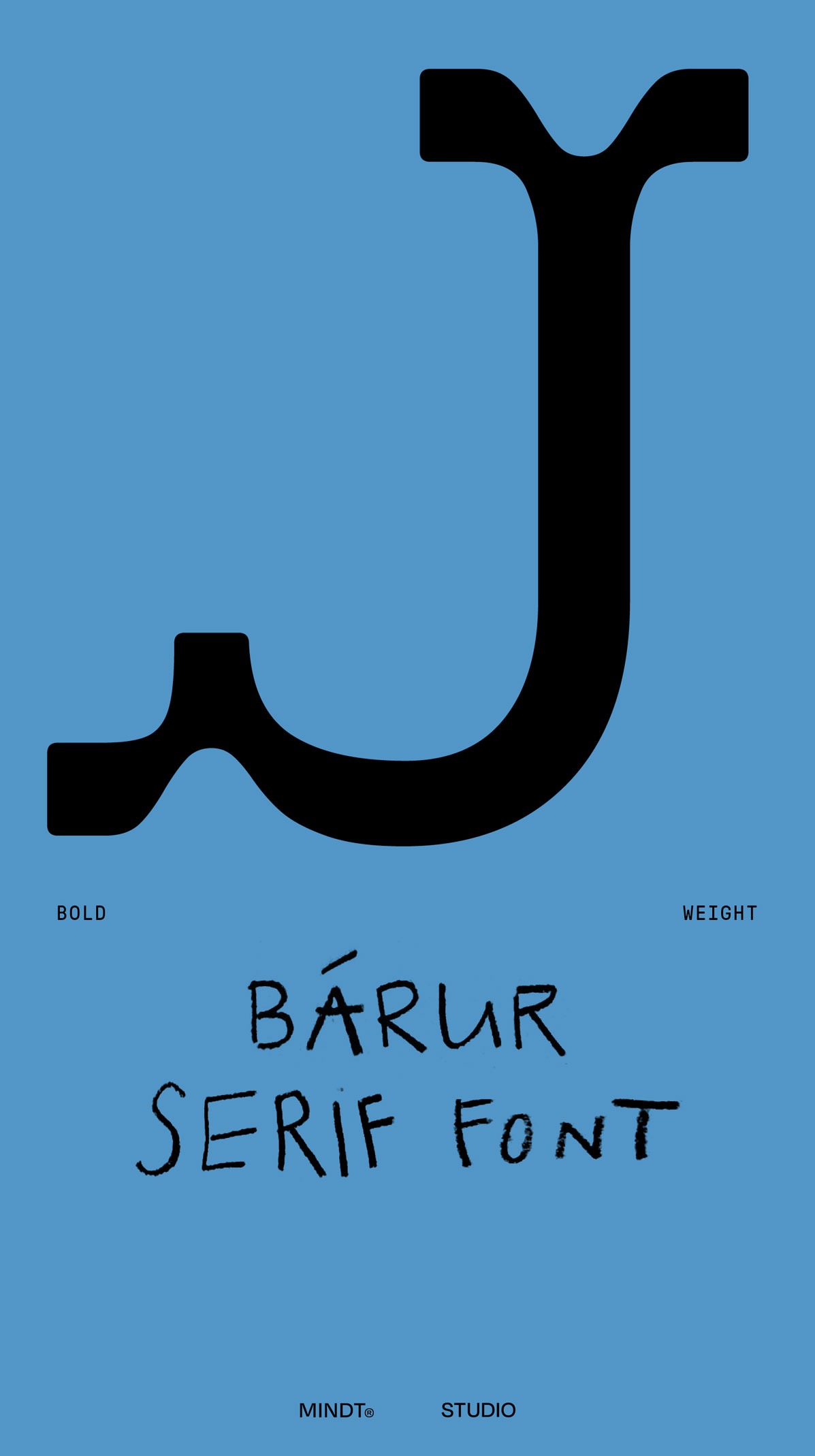 A selection of Bárur Bold uppercase glyphs showcasing its bold, wavy serif forms.